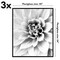 Americanflat Snap-In Picture Frame in Black - Set of 3 - Poster Frame with Slimline Molding, Plexiglass Cover, and Hanging Hardware - Black